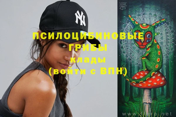 метадон Алексеевка