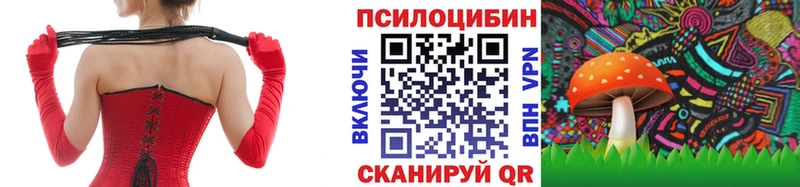 Псилоцибиновые грибы мицелий  Безенчук 